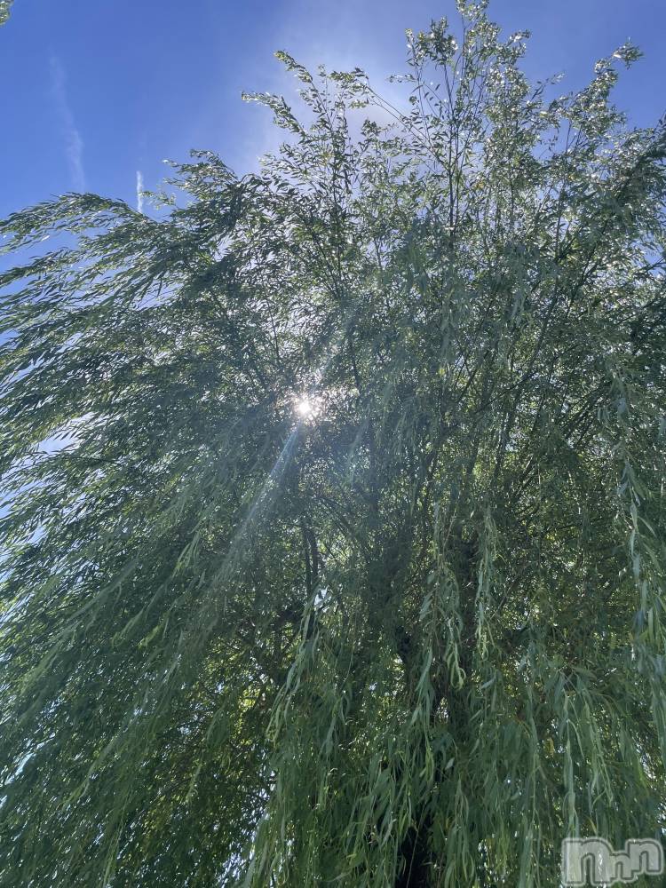 ��ˬ����Х��顦����֥���� �ץ���� ��ˬ(����� �ץ���� ����) �ܾ� ������7��19���̥�֥�����✨🫶🏼��