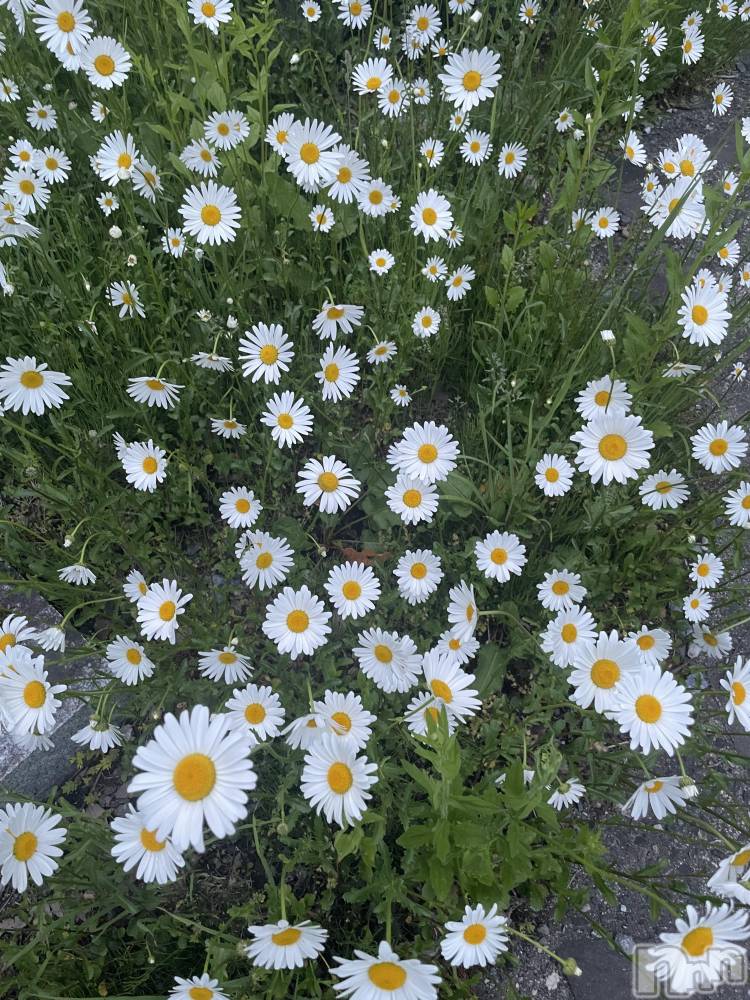 ��ˬ����Х��顦����֥���� �ץ���� ��ˬ(����� �ץ���� ����) �ܾ� ������7��23���̥�֥�����🏋️🫶🏼✨��