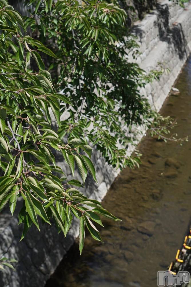 ��ˬ����Х��顦����֥���� �ץ���� ��ˬ(����� �ץ���� ����) �ܾ� ������7��25���̥�֥�����👼✨🍖��