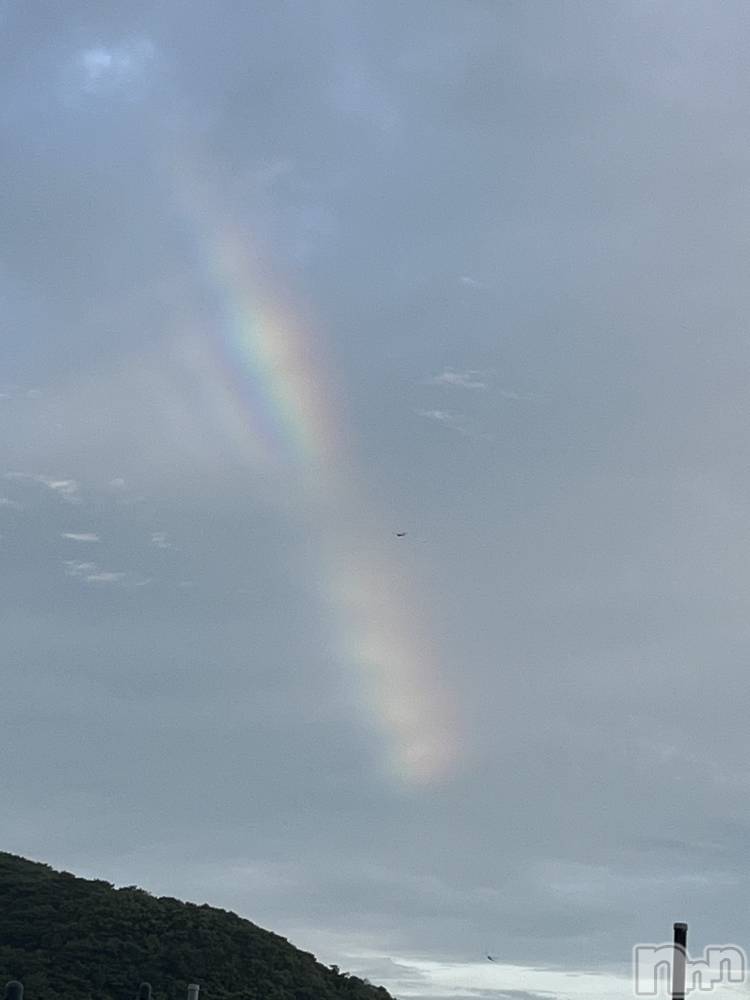 ��ˬ����Х��顦����֥���� �ץ���� ��ˬ(����� �ץ���� ����) �ܾ� ������8��2���̥�֥�����🌈✳︎��