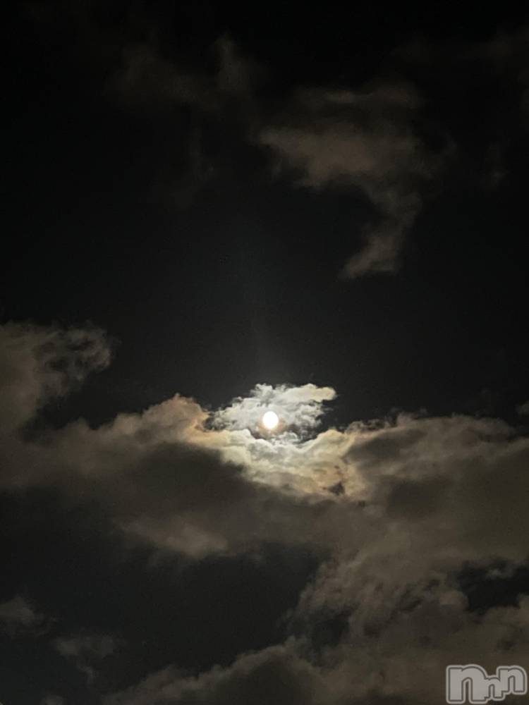 ��ˬ����Х��顦����֥���� �ץ���� ��ˬ(����� �ץ���� ����) �ܾ� ������9��6���̥�֥�����🌕��