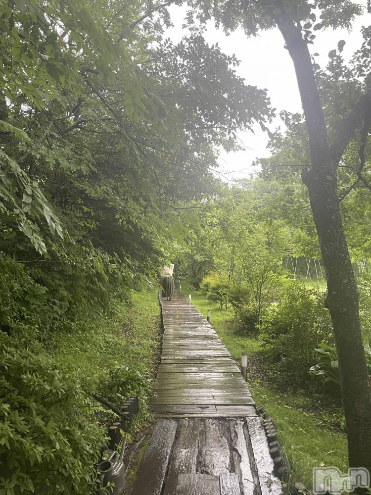 ��ˬ����Х��顦����֥���� �ץ���� ��ˬ(����� �ץ���� ����) �ܾ� ������9��13���̥�֥�����☂️��