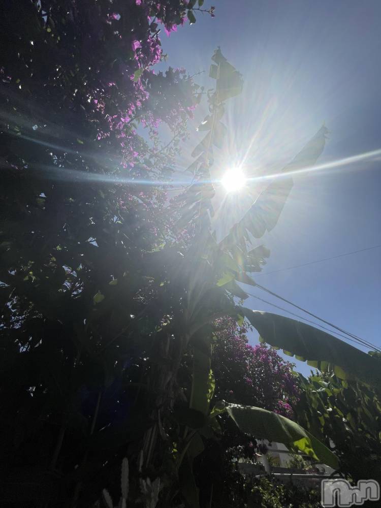 ��ˬ����Х��顦����֥���� �ץ���� ��ˬ(����� �ץ���� ����) �ܾ� ������9��17���̥�֥�����🌞��