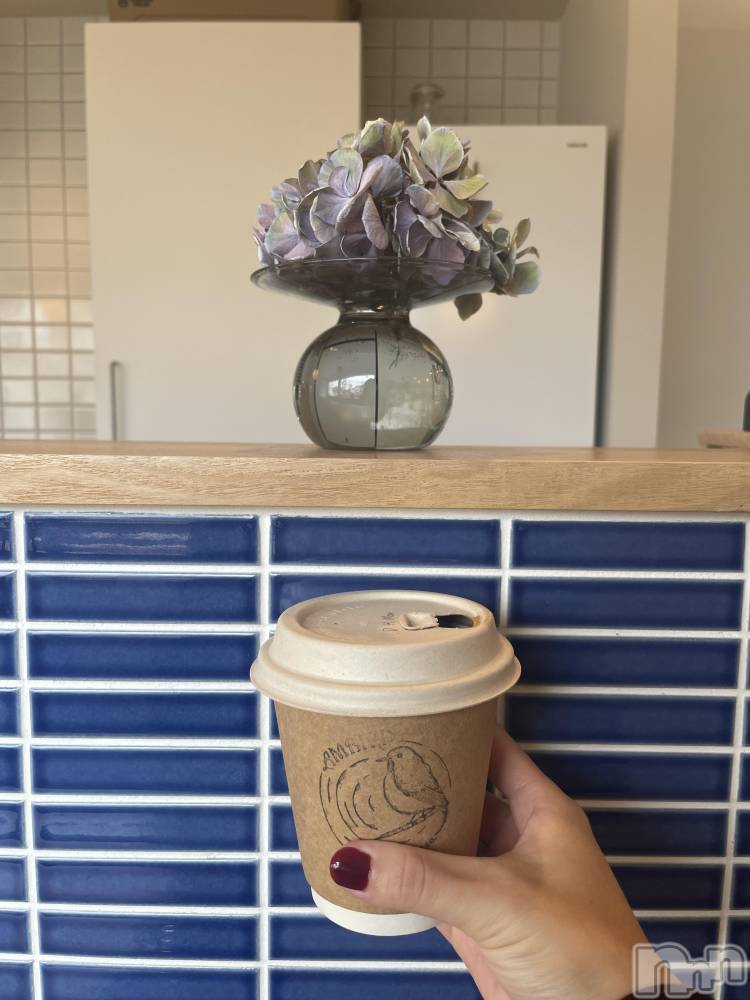 ��ˬ����Х��顦����֥���� �ץ���� ��ˬ(����� �ץ���� ����) �ܾ� ������9��20���̥�֥�����✨🪾🤎��