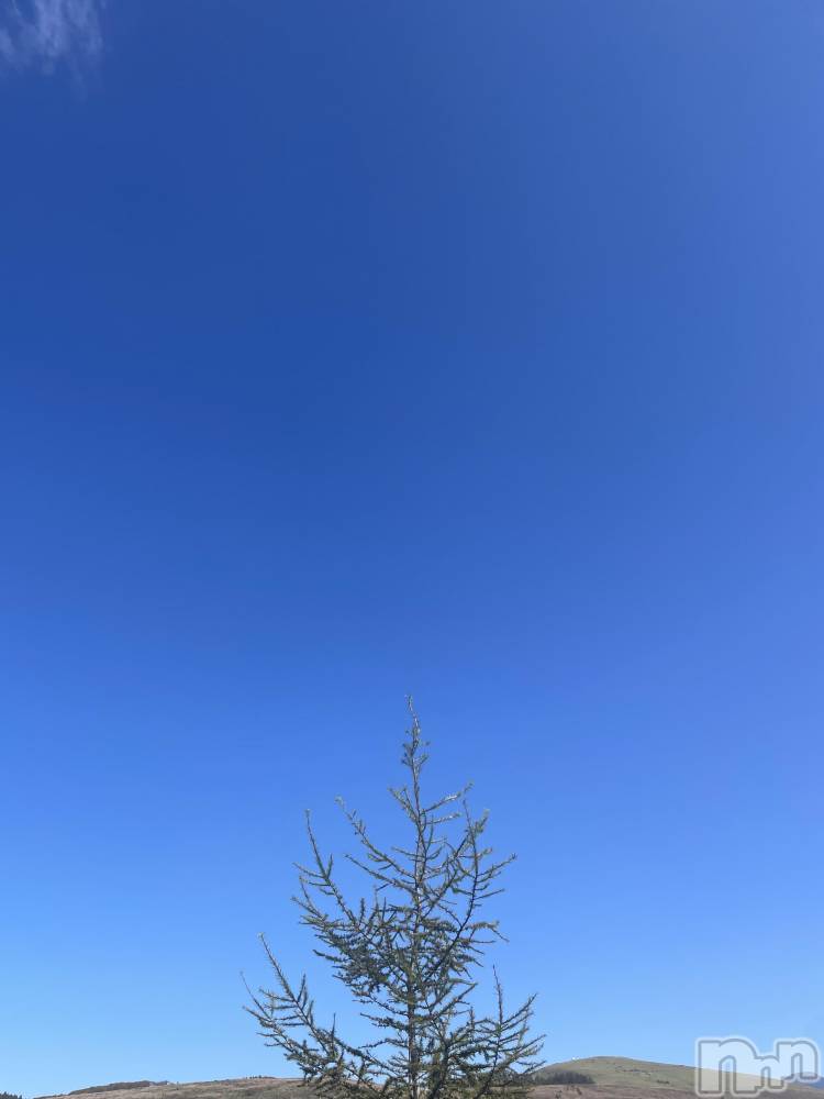 ��ˬ����Х��顦����֥���� �ץ���� ��ˬ(����� �ץ���� ����) �ܾ� ������10��20���̥�֥�����Autumn is coming😙🍂��