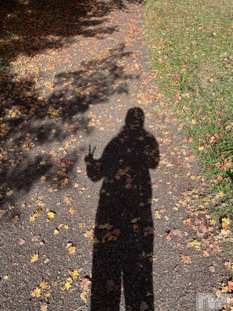 ��ˬ����Х��顦����֥���� �ץ���� ��ˬ(����� �ץ���� ����) �ܾ� ������10��31���̥�֥�����HAPPY HALLOWEEN🎃��