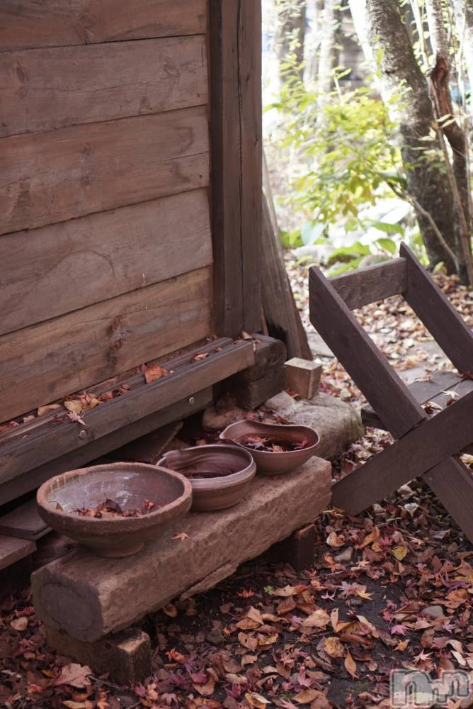 ��ˬ����Х��顦����֥���� �ץ���� ��ˬ(����� �ץ���� ����) �ܾ� ������11��7���̥�֥����֤����С�