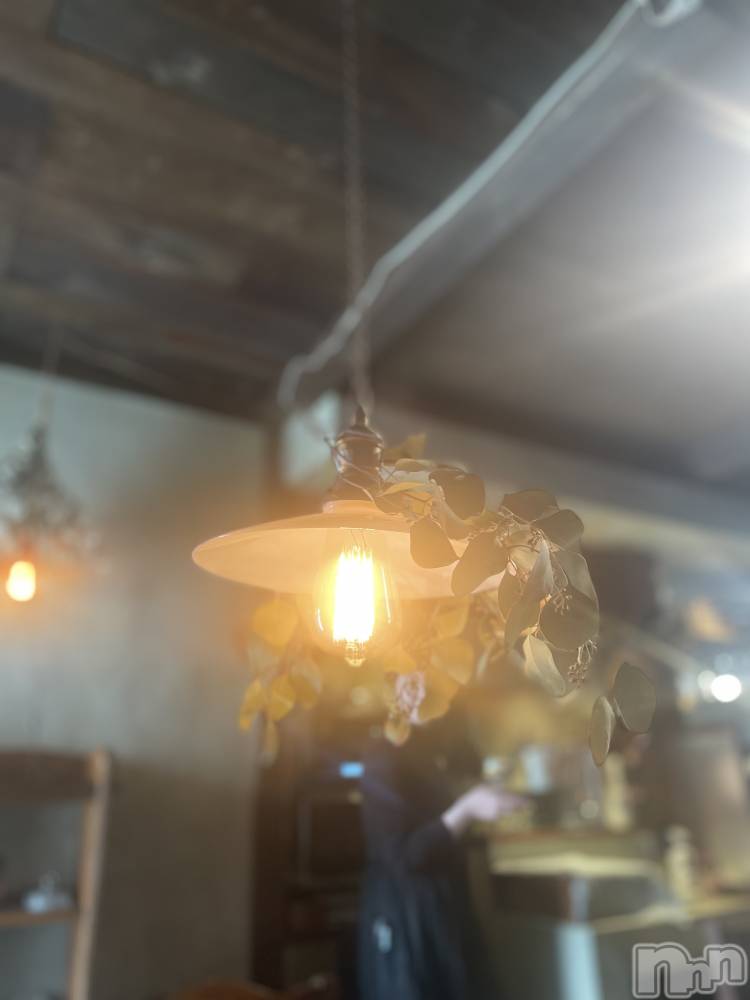 ��ˬ����Х��顦����֥���� �ץ���� ��ˬ(����� �ץ���� ����) �ܾ� ������11��14���̥�֥�����🥶��