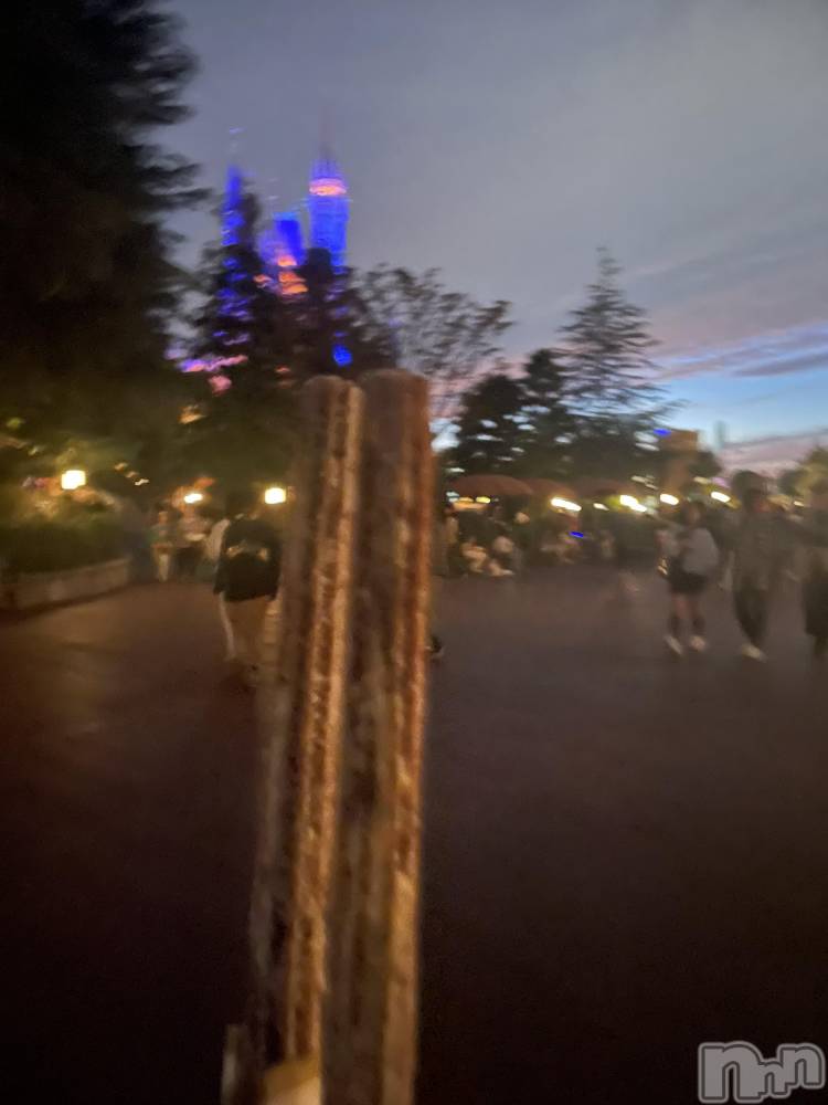 ��ˬ����Х��顦����֥���� �ץ���� ��ˬ(����� �ץ���� ����) �ܾ� ������11��28���̥�֥����֤������