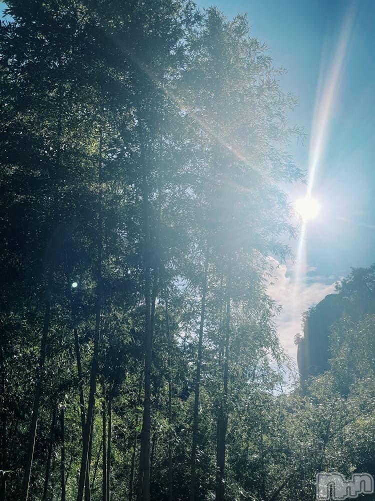 ��ˬ����Х��顦����֥���� �ץ���� ��ˬ(����� �ץ���� ����) �ܾ� ������11��29���̥�֥�����🐦‍⬛��