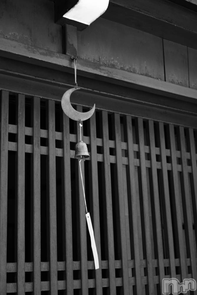 ��ˬ����Х��顦����֥���� �ץ���� ��ˬ(����� �ץ���� ����) �ܾ� ������12��4���̥�֥�������������