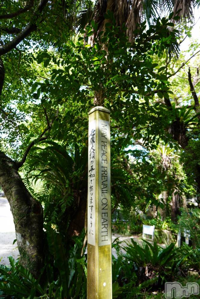 ��ˬ����Х��顦����֥���� �ץ���� ��ˬ(����� �ץ���� ����) �ܾ� ������12��12���̥�֥����֥ԡ�������