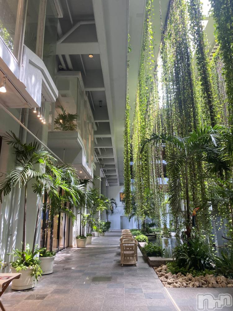 ��ˬ����Х��顦����֥���� �ץ���� ��ˬ(����� �ץ���� ����) �ܾ� ������12��16���̥�֥�����🫶🏼��