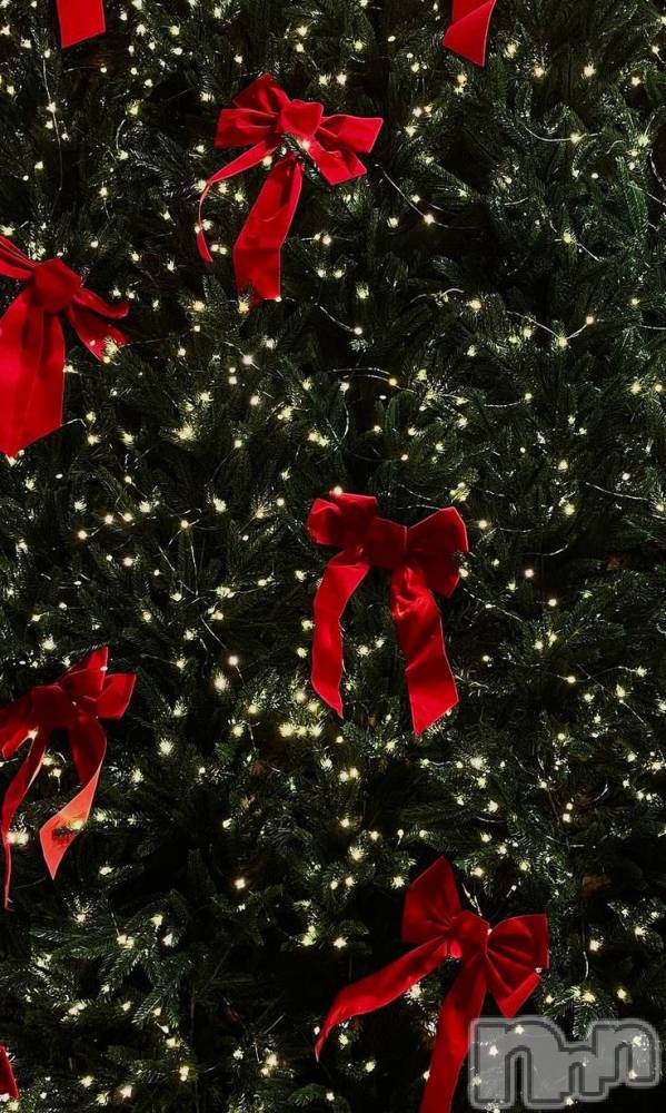 ��ˬ����Х��顦����֥���� �ץ���� ��ˬ(����� �ץ���� ����) �ܾ� ������12��19���̥�֥����֥��ꥹ�ޥ�����