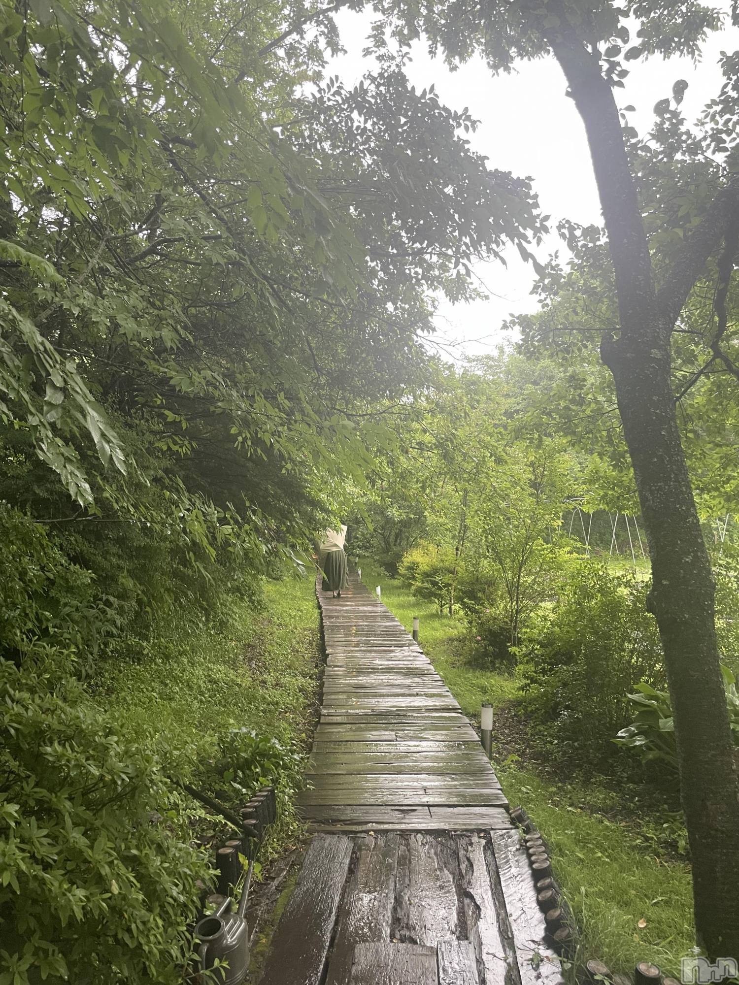 ��ˬ����Х��顦����֥���� �ץ���� ��ˬ(����� �ץ���� ����) ��2025ǯ9��13���̥�֥�����☂️��