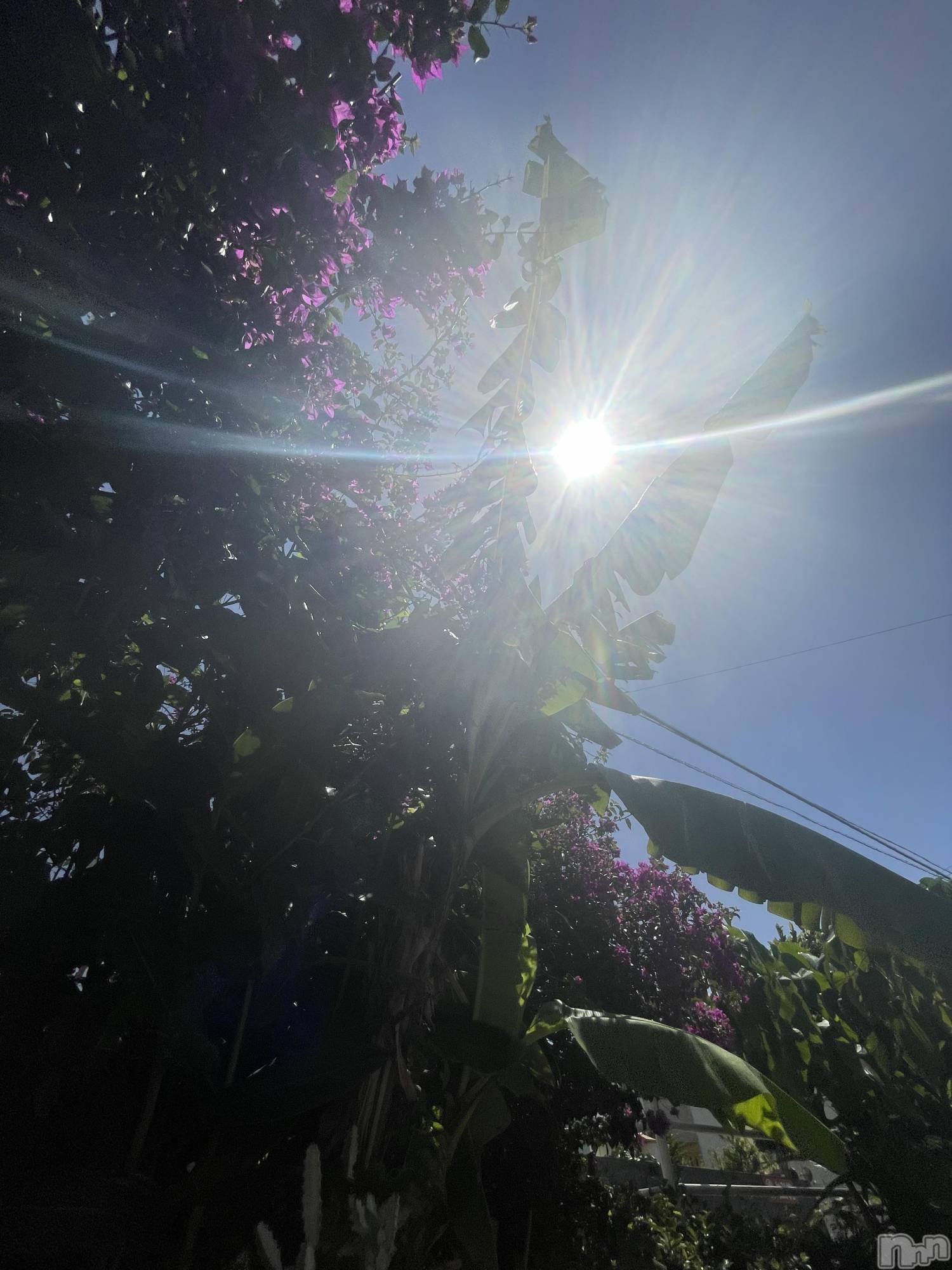 ��ˬ����Х��顦����֥���� �ץ���� ��ˬ(����� �ץ���� ����) ��2025ǯ9��17���̥�֥�����🌞��