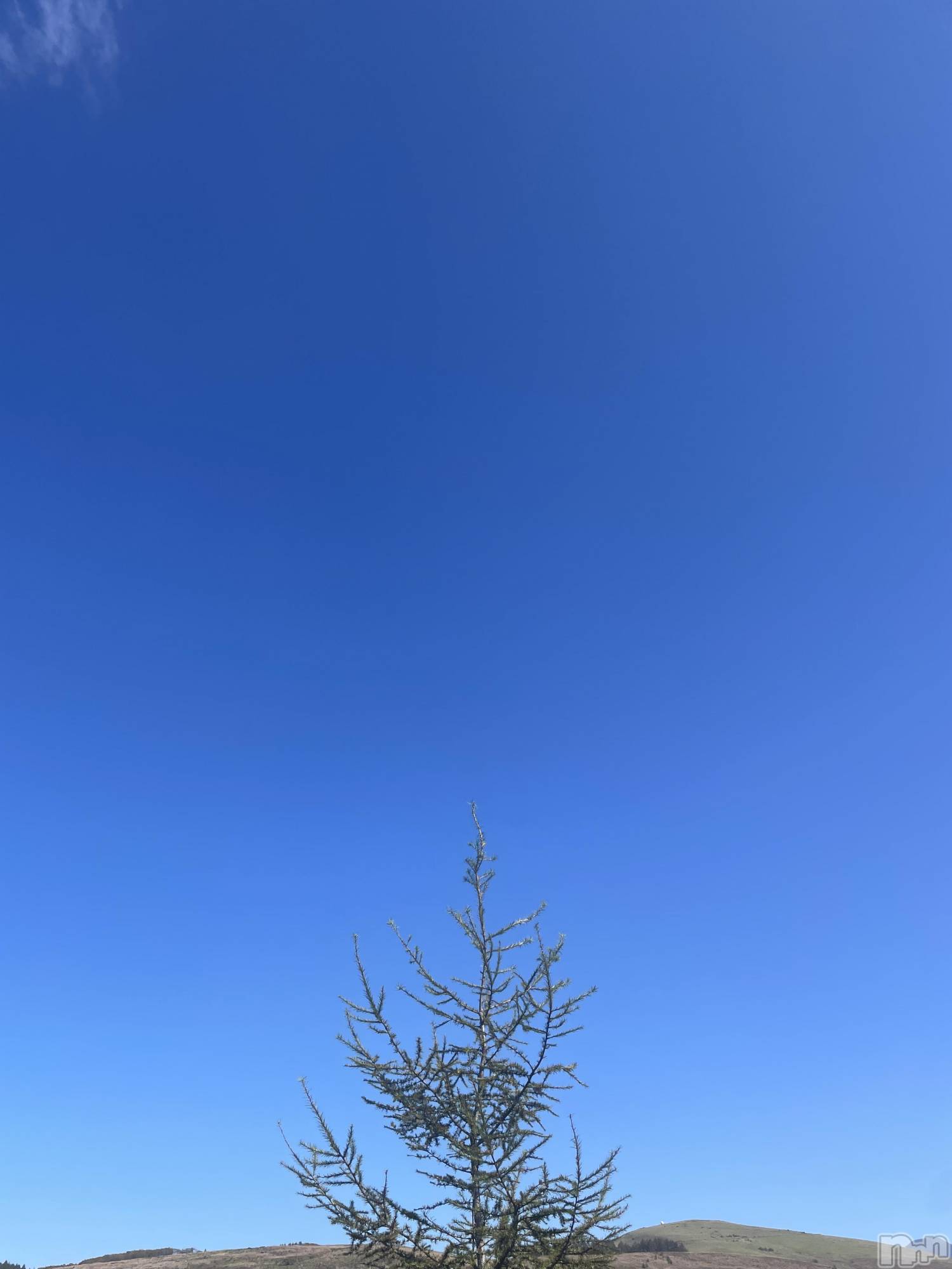 ��ˬ����Х��顦����֥���� �ץ���� ��ˬ(����� �ץ���� ����) ��2025ǯ10��20���̥�֥�����Autumn is coming😙🍂��