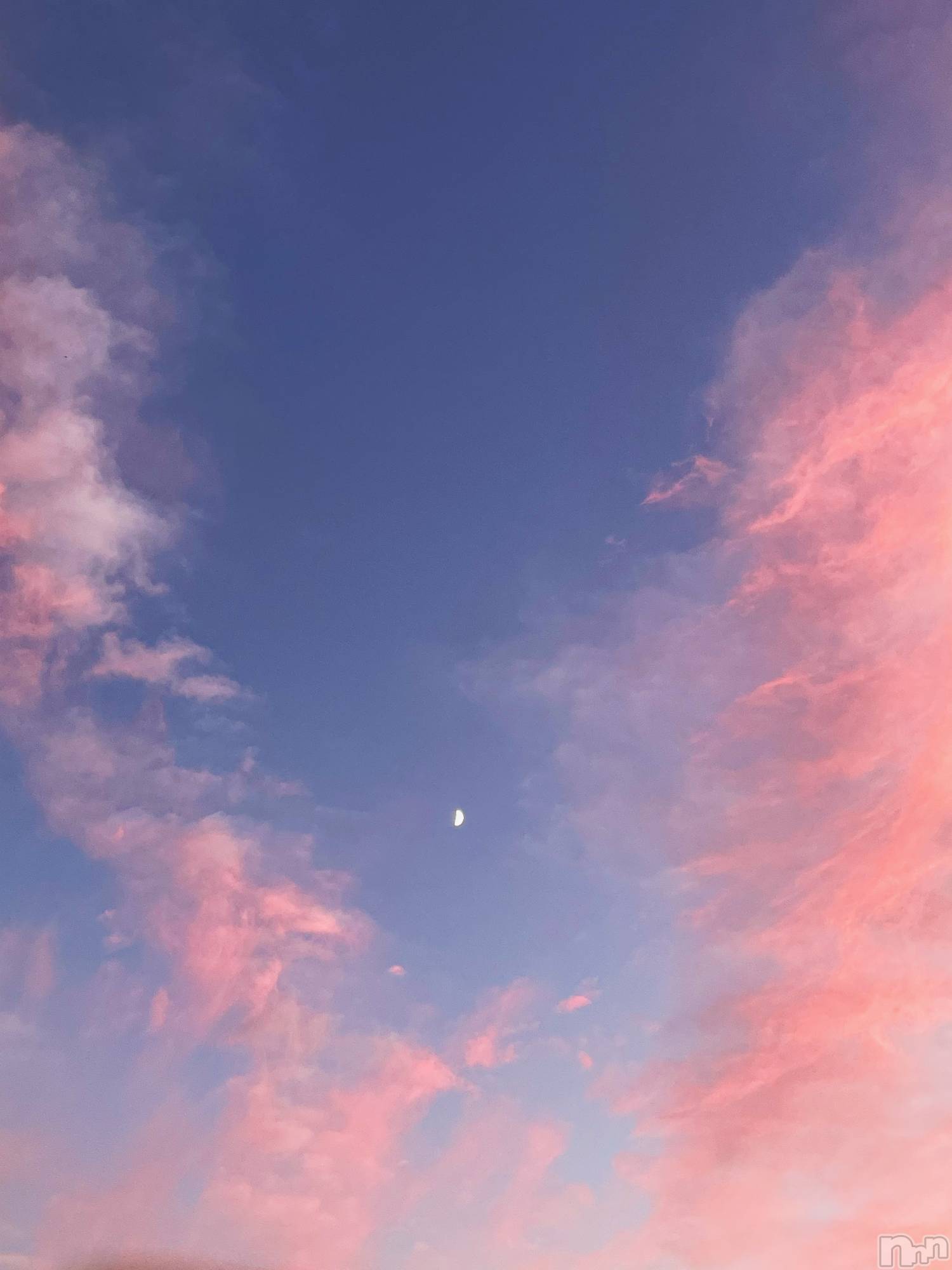 ��ˬ����Х��顦����֥���� �ץ���� ��ˬ(����� �ץ���� ����) ��2025ǯ10��30���̥�֥����֥��åȥ󥭥��ǥ�������🍬��