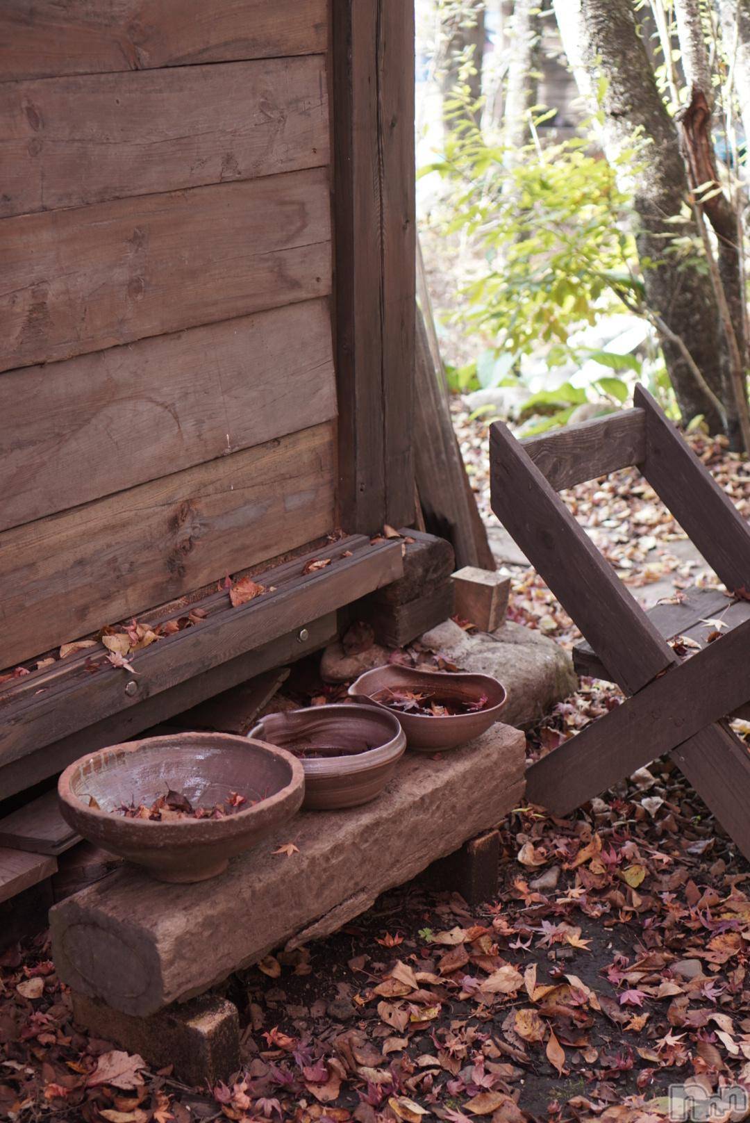 ��ˬ����Х��顦����֥���� �ץ���� ��ˬ(����� �ץ���� ����) ��2025ǯ11��7���̥�֥����֤����С�