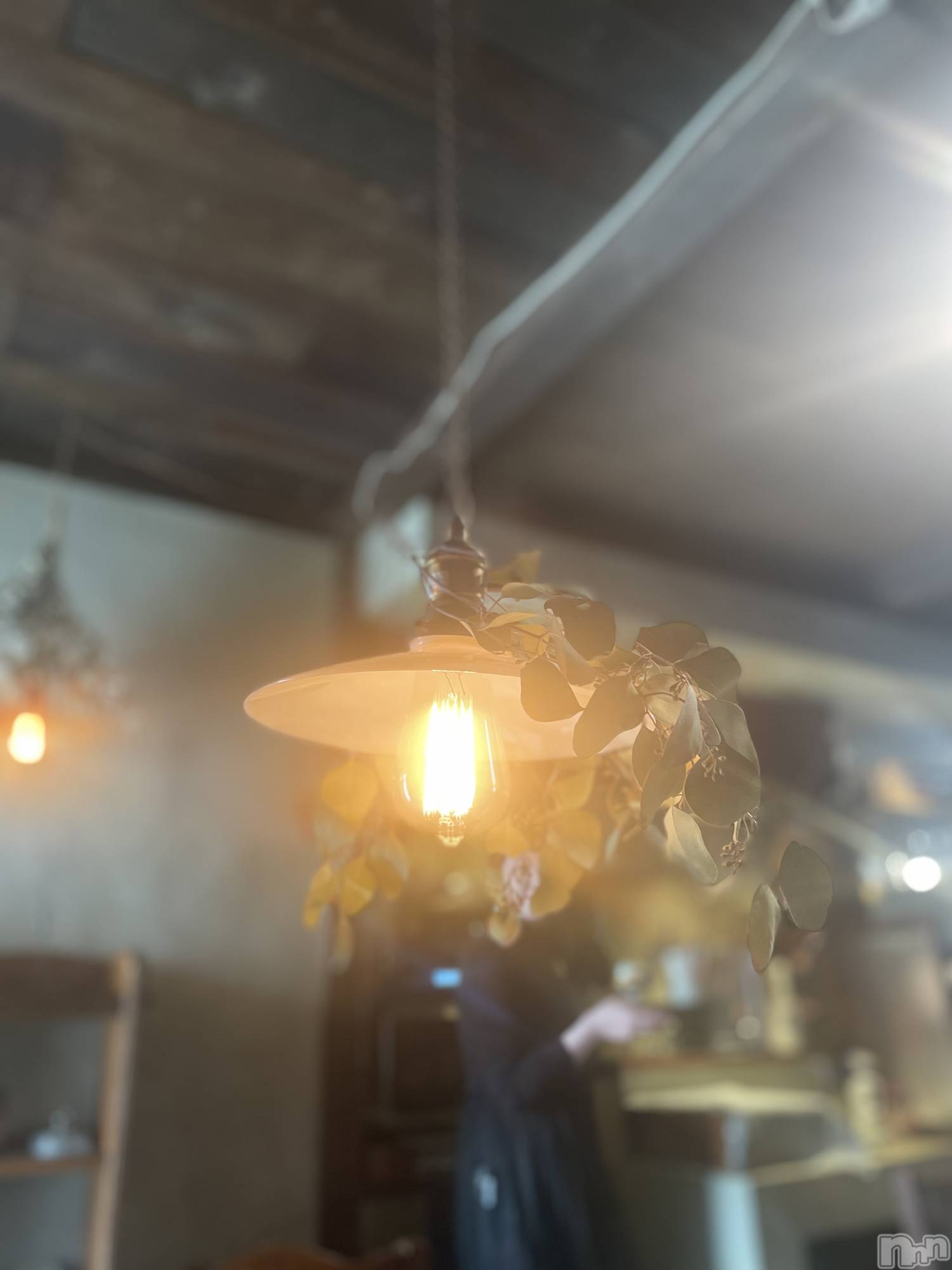 ��ˬ����Х��顦����֥���� �ץ���� ��ˬ(����� �ץ���� ����) ��2025ǯ11��14���̥�֥�����🥶��