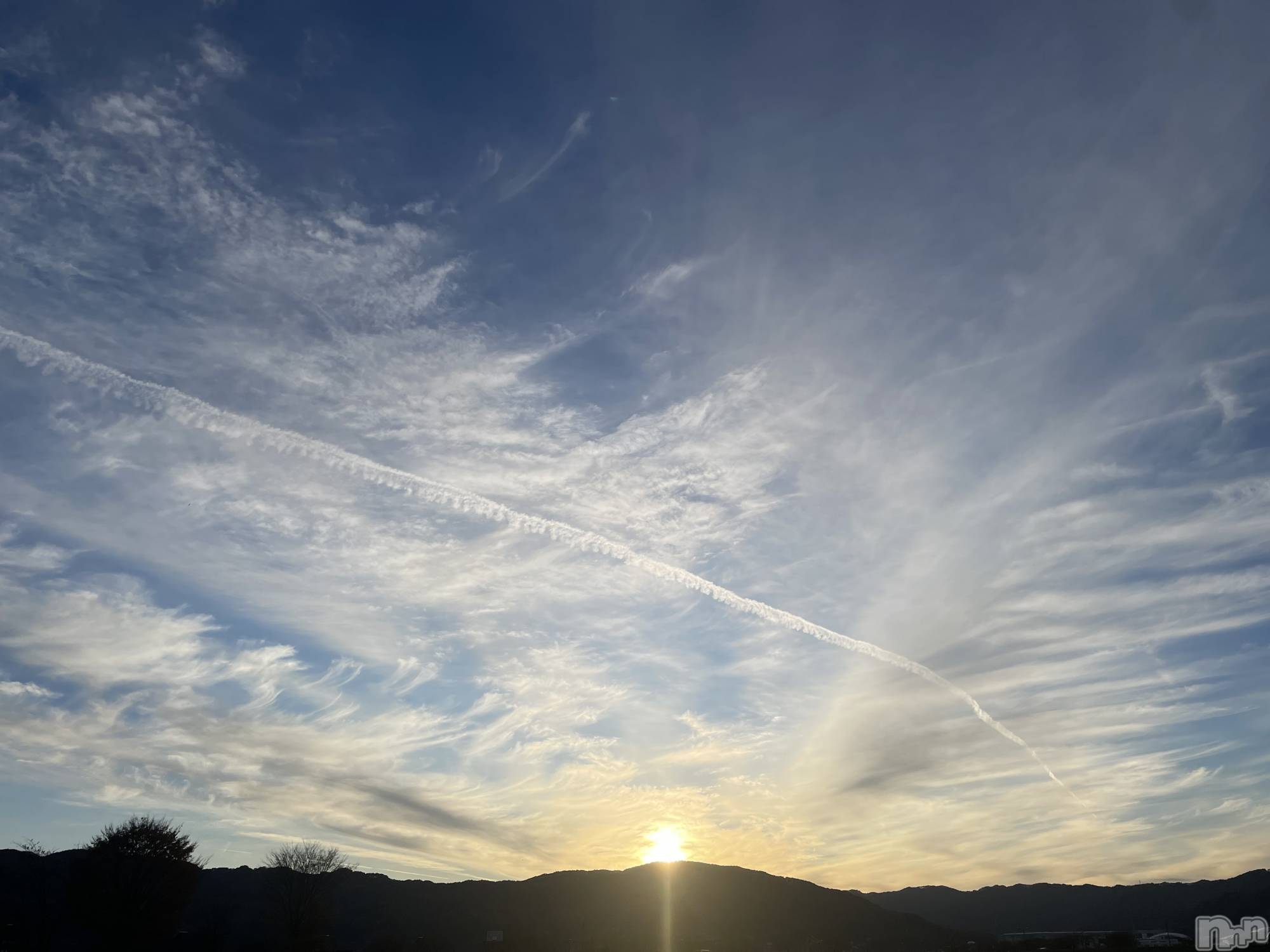 ��ˬ����Х��顦����֥���� �ץ���� ��ˬ(����� �ץ���� ����) ��2025ǯ11��27���̥�֥����ֶ���