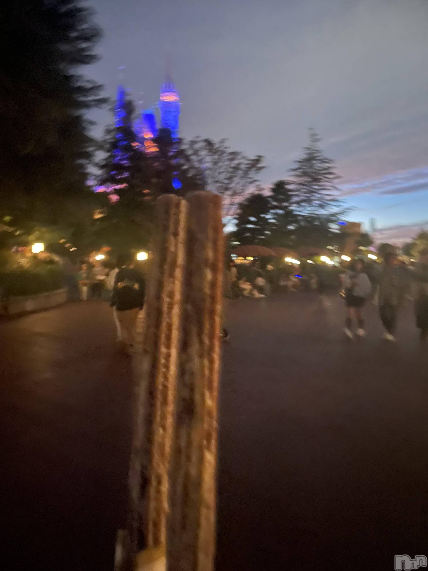 ��ˬ����Х��顦����֥���� �ץ���� ��ˬ(����� �ץ���� ����) ��2025ǯ11��28���̥�֥����֤������