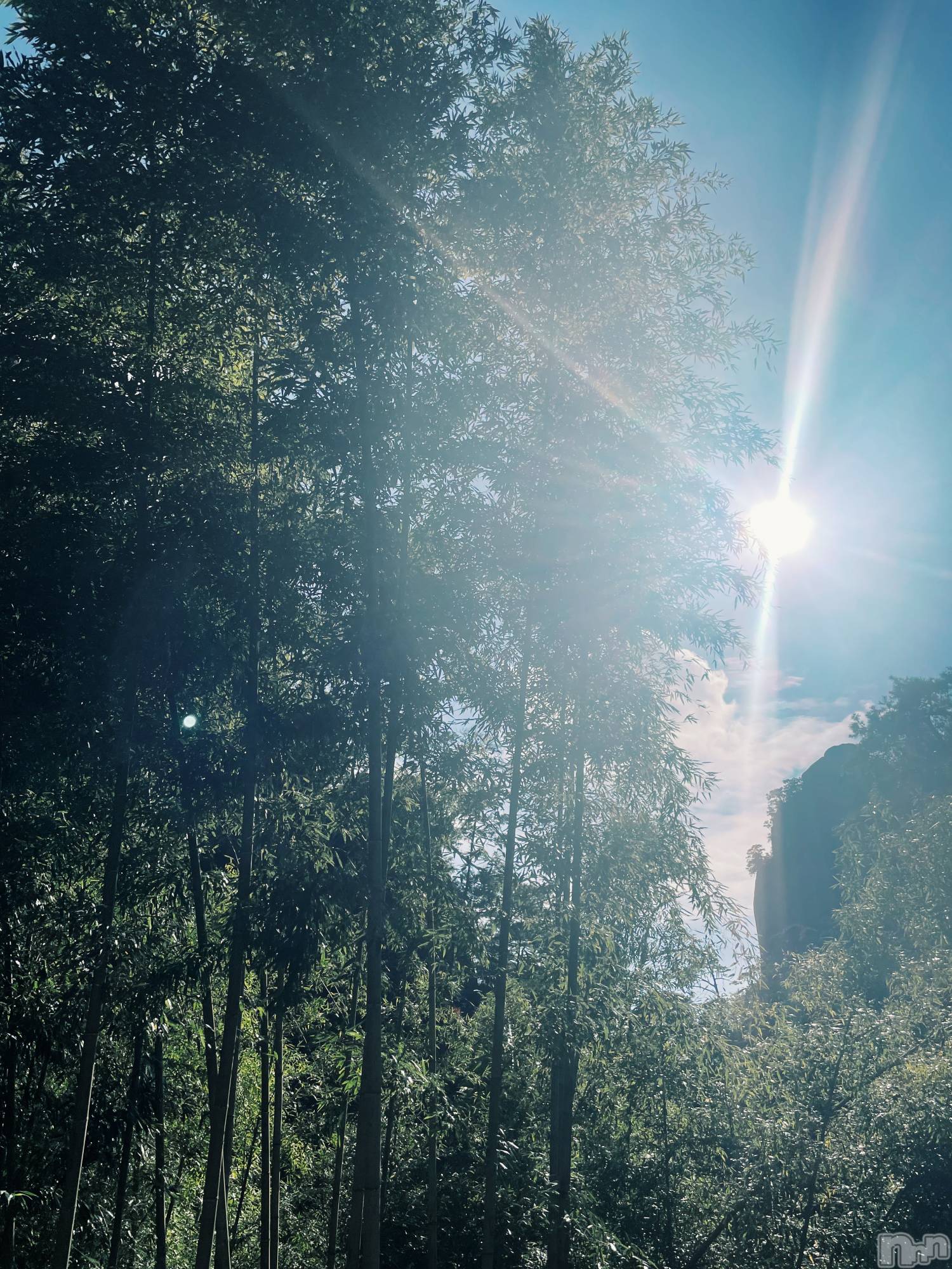 ��ˬ����Х��顦����֥���� �ץ���� ��ˬ(����� �ץ���� ����) ��2025ǯ11��29���̥�֥�����🐦‍⬛��