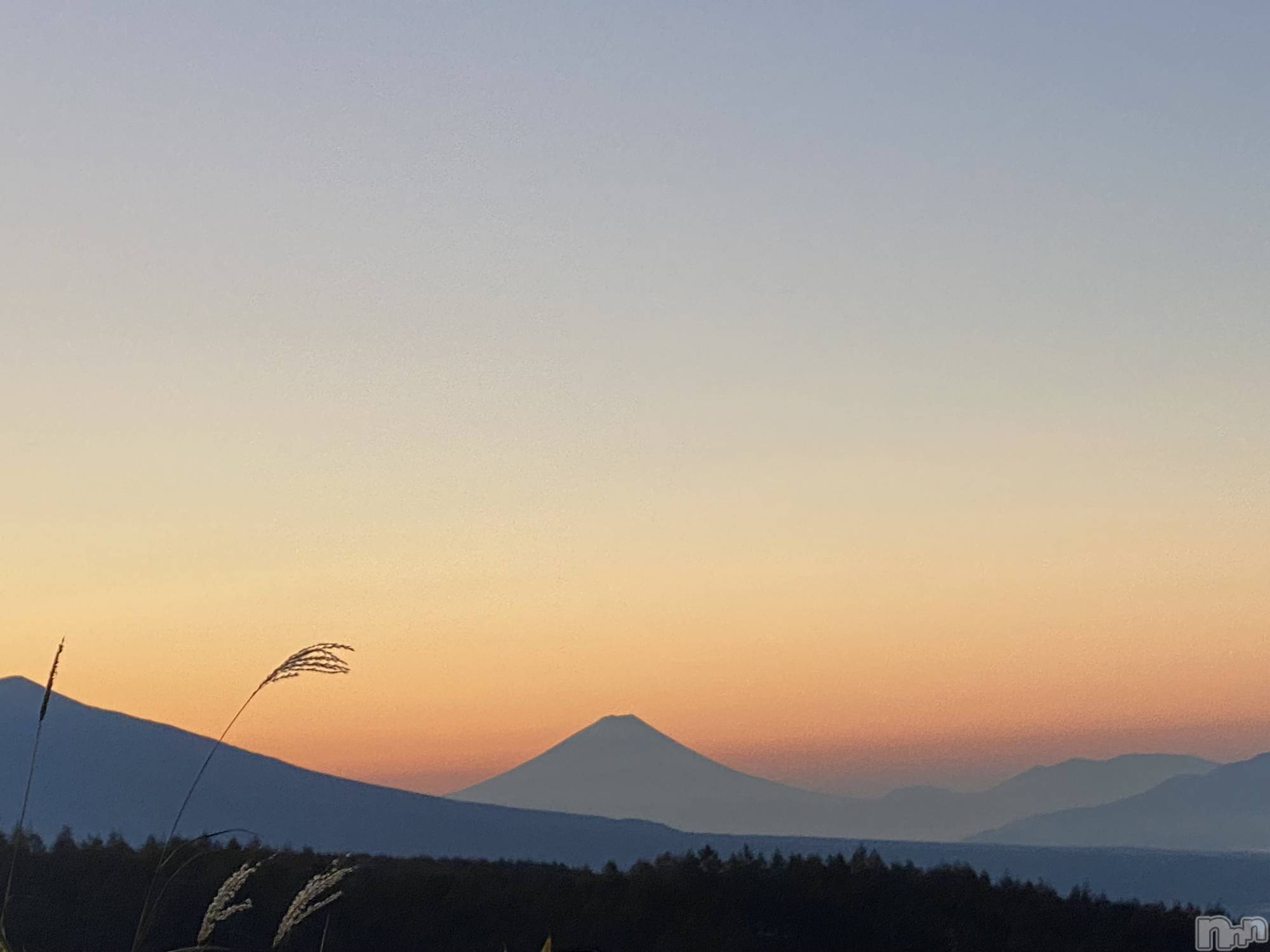 ��ˬ����Х��顦����֥���� �ץ���� ��ˬ(����� �ץ���� ����) ��2025ǯ12��11���̥�֥����֤դ����󡪡�