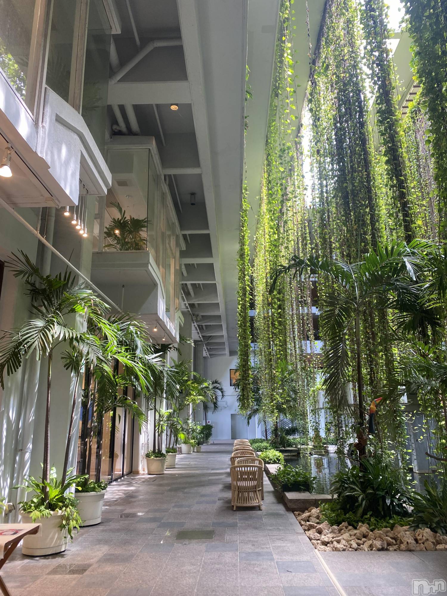 ��ˬ����Х��顦����֥���� �ץ���� ��ˬ(����� �ץ���� ����) ��2025ǯ12��16���̥�֥�����🫶🏼��