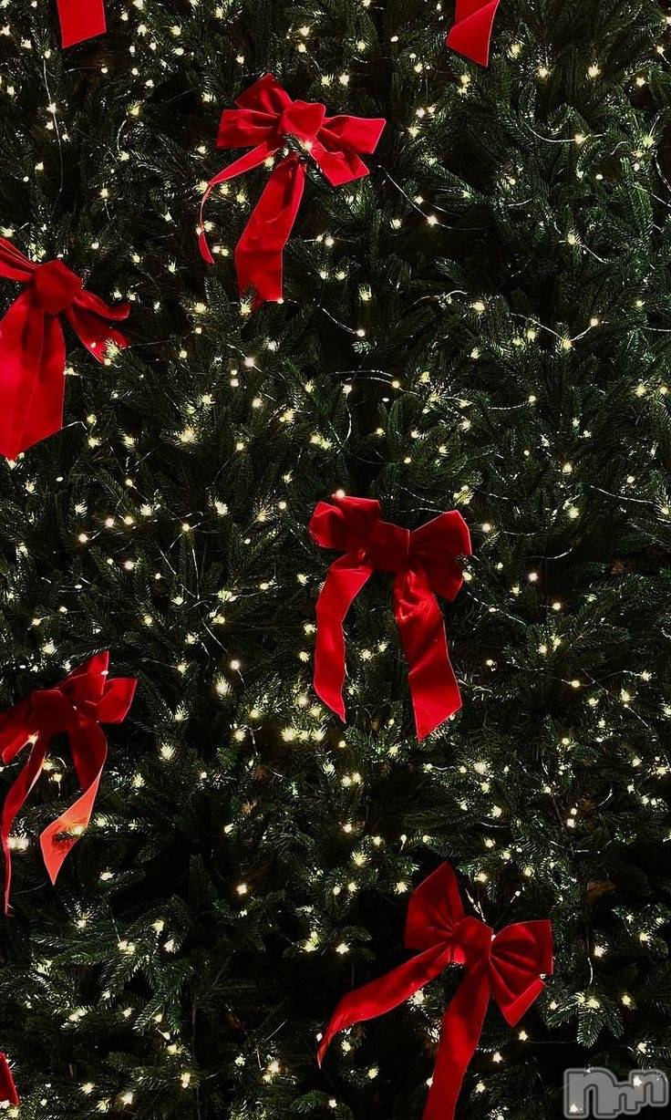 ��ˬ����Х��顦����֥���� �ץ���� ��ˬ(����� �ץ���� ����) ��2025ǯ12��19���̥�֥����֥��ꥹ�ޥ�����