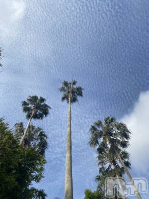 �ܾ� ���� ǯ��26�� / ��Ĺ155cm