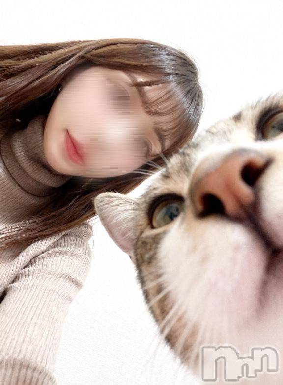 新潟デリヘルSOARIS-ソアリス-(ソアリス)なぎ(25)の2026年2月22日写メブログ「🈳あとにゃ時間🐱♡」