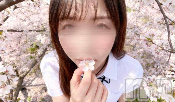 新潟デリヘルSOARIS-ソアリス-(ソアリス)なぎ(25)の2026年3月24日写メブログ「わくわくさせて⸝⸝⸝？🌷」