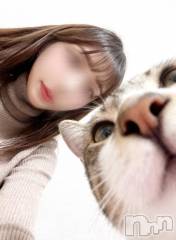 新潟デリヘルSOARIS-ソアリス-(ソアリス) なぎ(25)の2月22日写メブログ「🈳あとにゃ時間🐱♡」