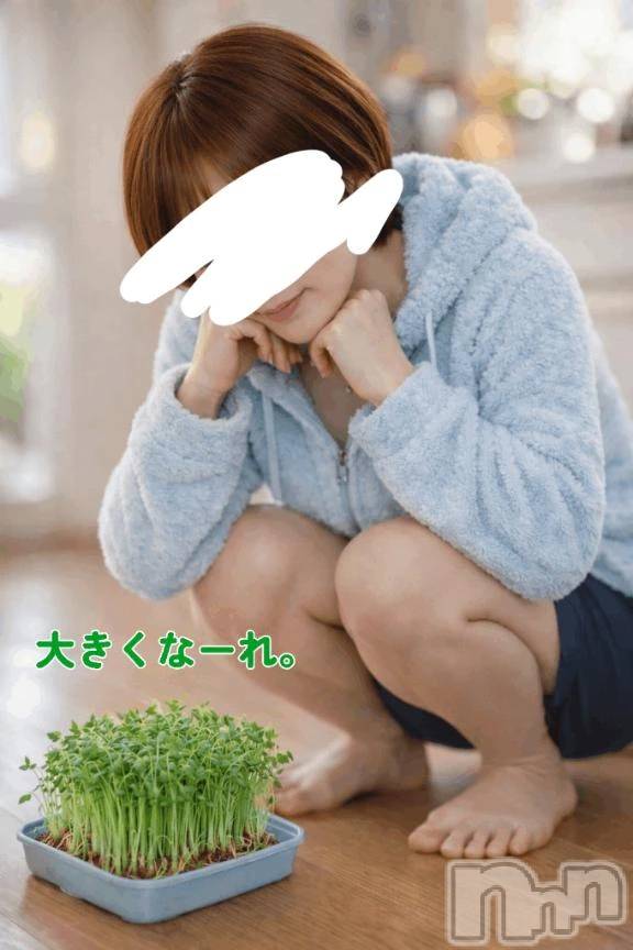 新潟デリヘル熟女の風俗 最終章(ジュクジョノフウゾクサイシュウショウ) ことは(42)の3月14日写メブログ「また、たのし。」