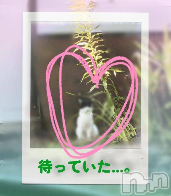 新潟人妻デリヘル熟女の風俗 最終章(ジュクジョノフウゾクサイシュウショウ)ことは(42)の2025年8月24日写メブログ「待ってた。」