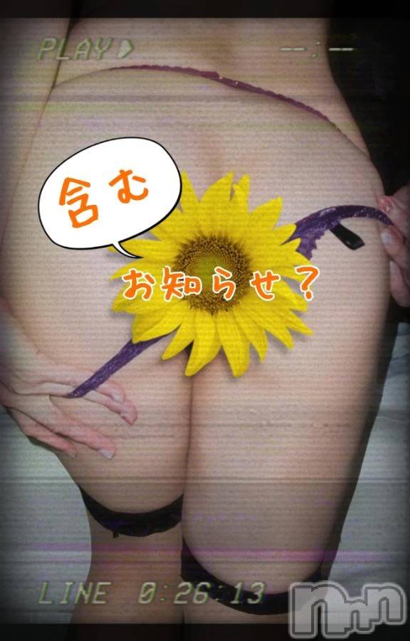 新潟デリヘル熟女の風俗 最終章(ジュクジョノフウゾクサイシュウショウ)ことは(42)の2025年12月9日写メブログ「安定の道草。」