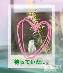 新潟デリヘル熟女の風俗 最終章(ジュクジョノフウゾクサイシュウショウ) ことは(42)の8月24日写メブログ「待ってた。」