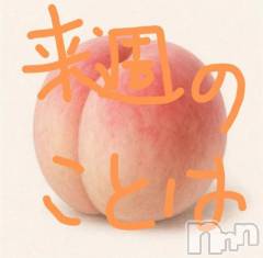 新潟デリヘル熟女の風俗 最終章(ジュクジョノフウゾクサイシュウショウ) ことは(42)の9月12日写メブログ「文字通り？」