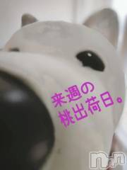 新潟デリヘル熟女の風俗 最終章(ジュクジョノフウゾクサイシュウショウ) ことは(42)の10月4日写メブログ「🍑出荷のお知らせ🍑」