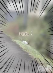 新潟デリヘル熟女の風俗 最終章(ジュクジョノフウゾクサイシュウショウ) ことは(42)の10月19日写メブログ「よっしゃ！」