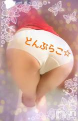 新潟デリヘル熟女の風俗 最終章(ジュクジョノフウゾクサイシュウショウ) ことは(42)の10月25日写メブログ「もっ、もうですか！？」