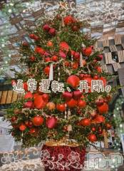 新潟デリヘル熟女の風俗 最終章(ジュクジョノフウゾクサイシュウショウ) ことは(42)の11月24日写メブログ「どんぶら再開のお知らせ。」