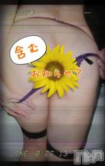 新潟デリヘル熟女の風俗 最終章(ジュクジョノフウゾクサイシュウショウ) ことは(42)の12月9日写メブログ「安定の道草。」