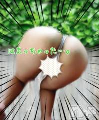 新潟デリヘル熟女の風俗 最終章(ジュクジョノフウゾクサイシュウショウ) ことは(42)の12月16日写メブログ「突っ込んじゃった…っ！」