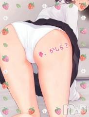 新潟デリヘル熟女の風俗 最終章(ジュクジョノフウゾクサイシュウショウ) ことは(42)の1月17日写メブログ「2026春、の巻。」