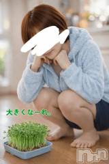 新潟デリヘル熟女の風俗 最終章(ジュクジョノフウゾクサイシュウショウ) ことは(42)の3月14日写メブログ「また、たのし。」