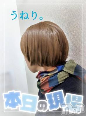 新潟デリヘル 熟女の風俗 最終章(ジュクジョノフウゾクサイシュウショウ) ことは(42)の9月29日写メブログ「ねるねるねるね。」