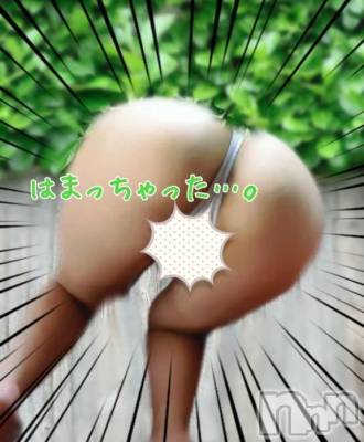 新潟デリヘル 熟女の風俗 最終章(ジュクジョノフウゾクサイシュウショウ) ことは(42)の12月16日写メブログ「突っ込んじゃった…っ！」