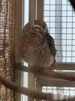 Ĺ��ʥå��������륺�С����פꥹ�ʥå�����ä��礤(���ޥĥꥹ�ʥå�����å��祤) ���椫(29)��4��12���̥�֥����֤��褤�躣���ϡ���